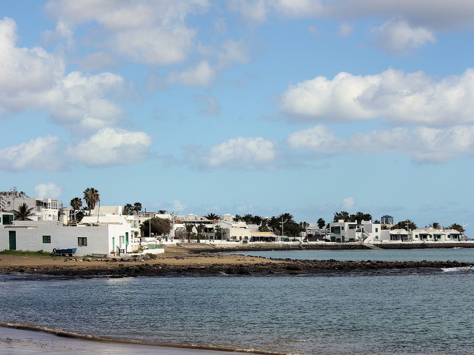 Scoiattolo barbaresco catturato a Playa Honda: allerta del Cabildo a Lanzarote