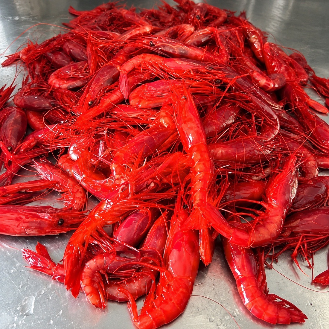 Carabineros from La Santa just landed