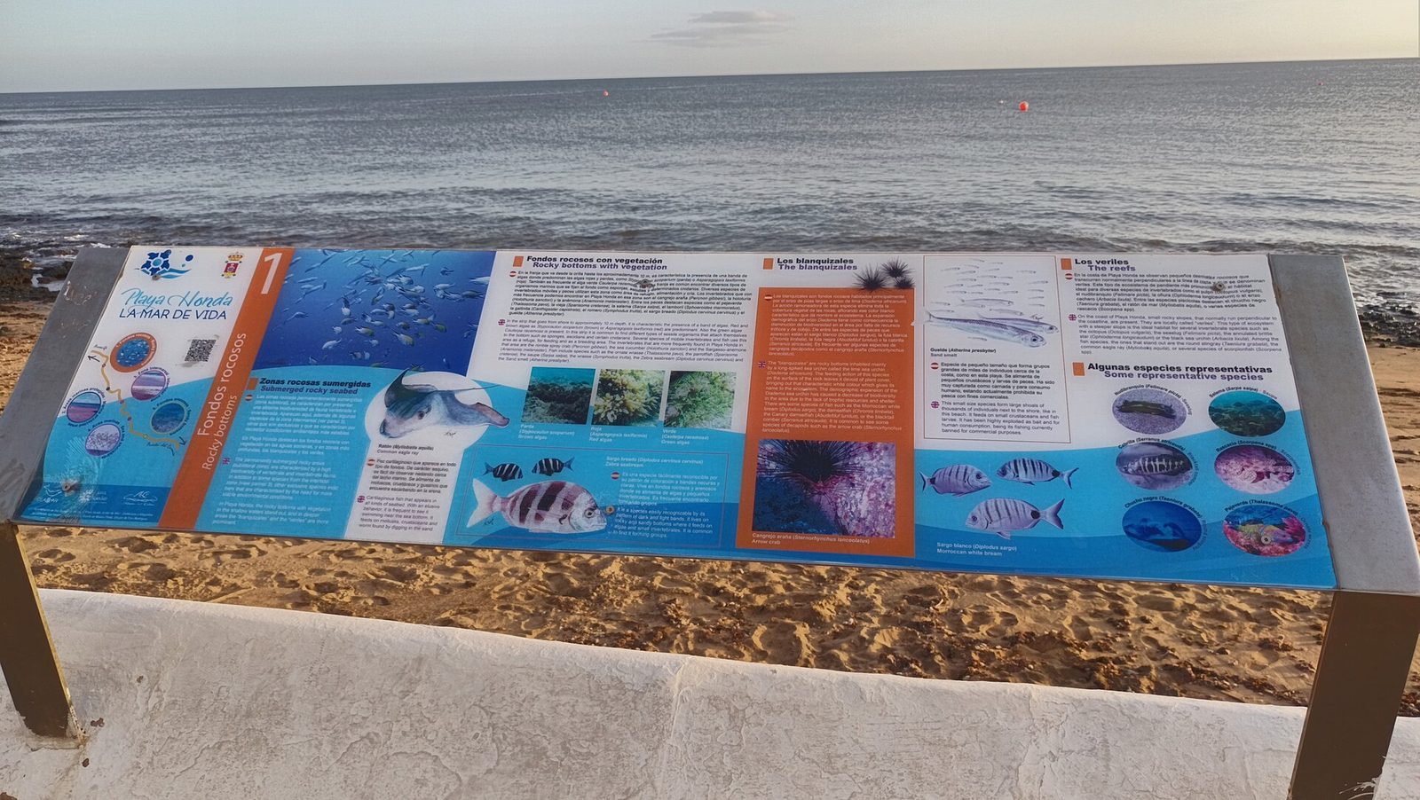 Il 29 agosto la traversata di Playa Honda chiude la Coppa di acque libere